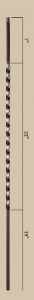 Long Twist